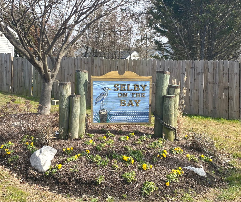 Selby on the Bay real estate