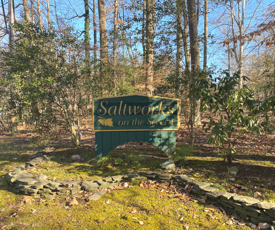 Saltworks on the Severn real estate