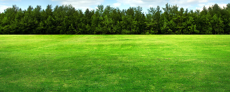Vacant Land Homes for Sale