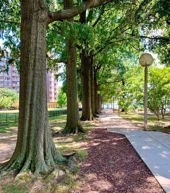 20024, Washington, DC New Construction Homes For Sale