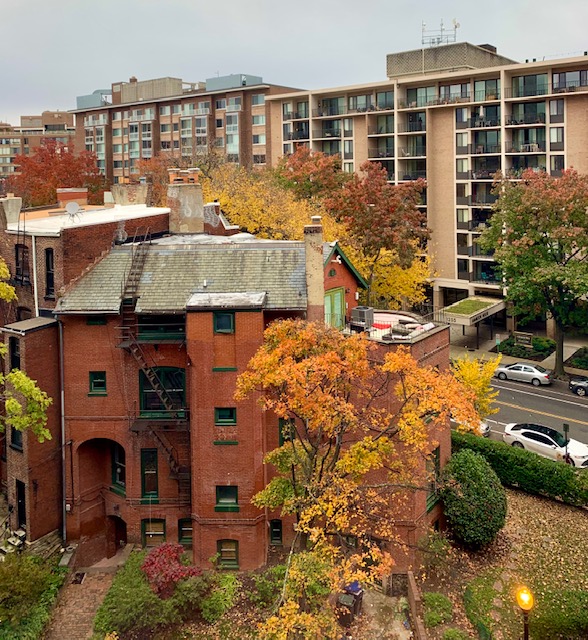 20036, DC 1 Bedroom Apartments For Sale