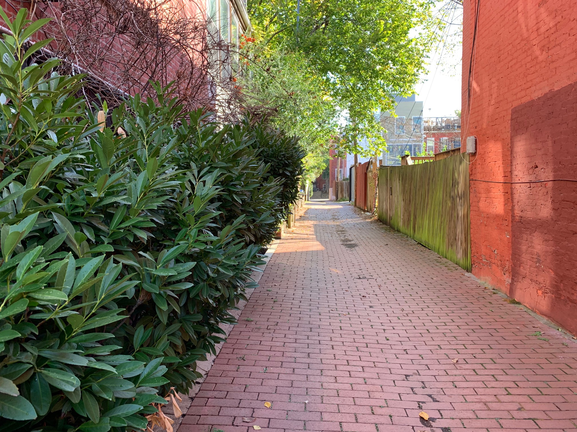 Marion Street NW in Shaw, DC Real Estate & Homes For Sale