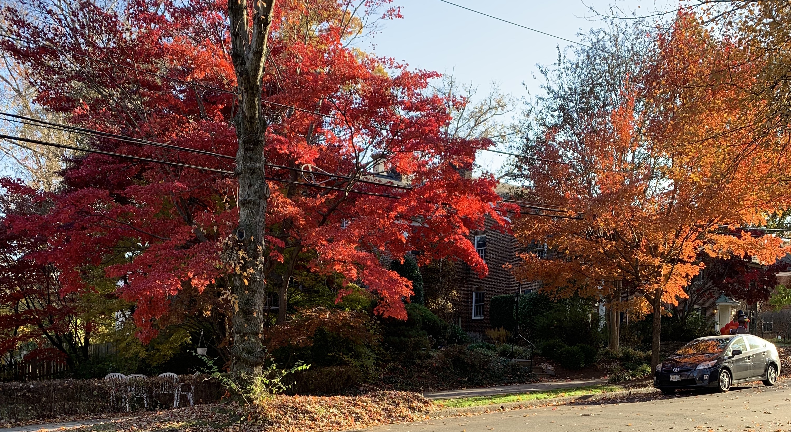 Luxury Homes In Barnaby Woods, DC. View Every Home On The Market