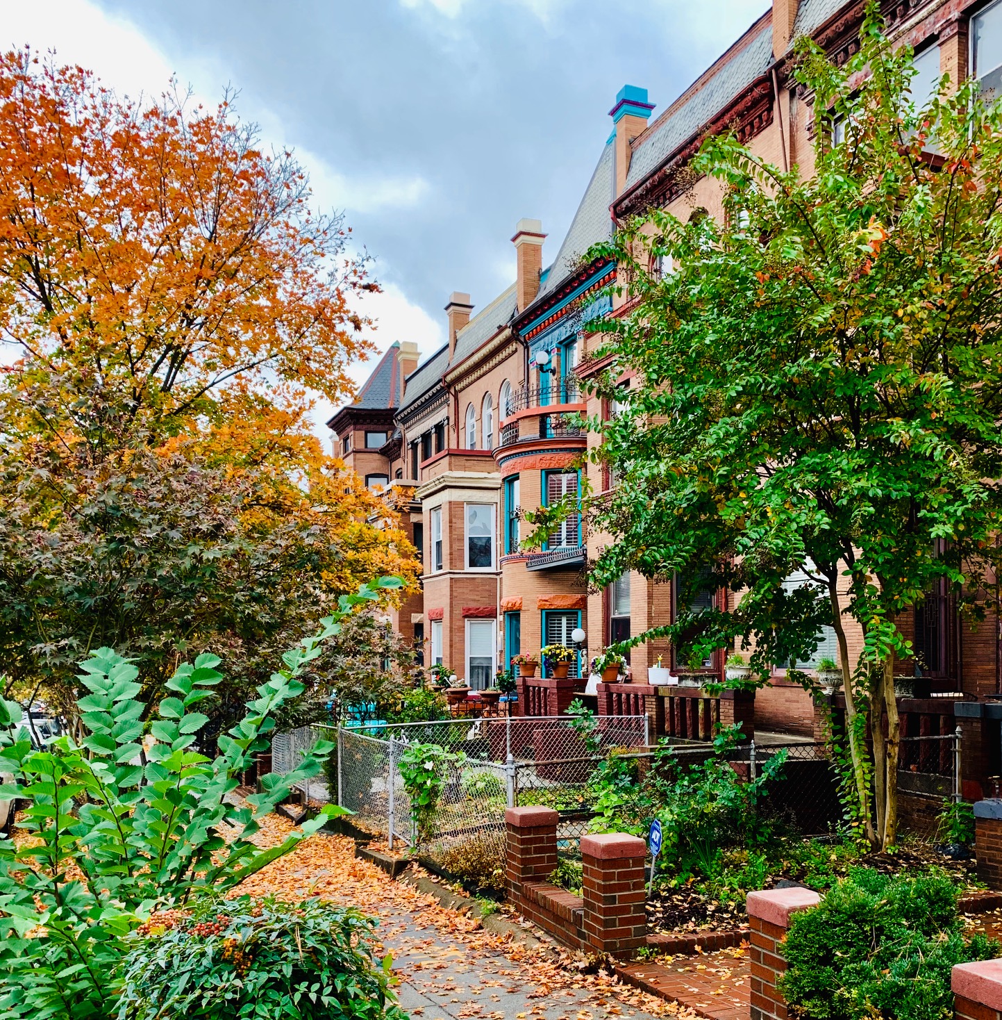 Luxury Homes In Bloomingdale DC. View Every Home On The Market