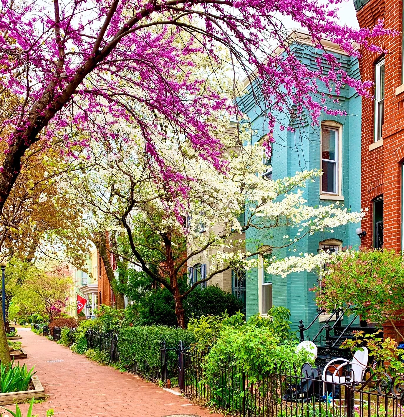 Capitol Hill, DC Townhomes For Sale