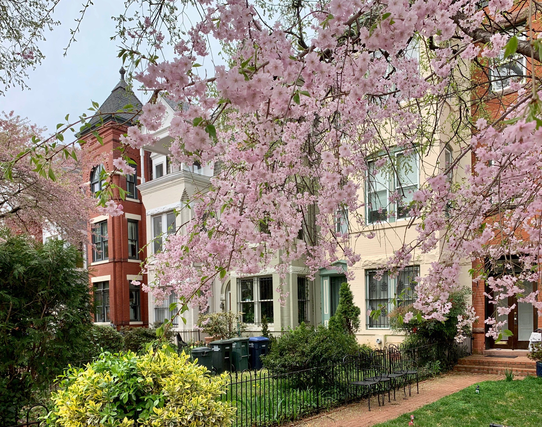 Condos For Sale Near Lincoln Park, DC
