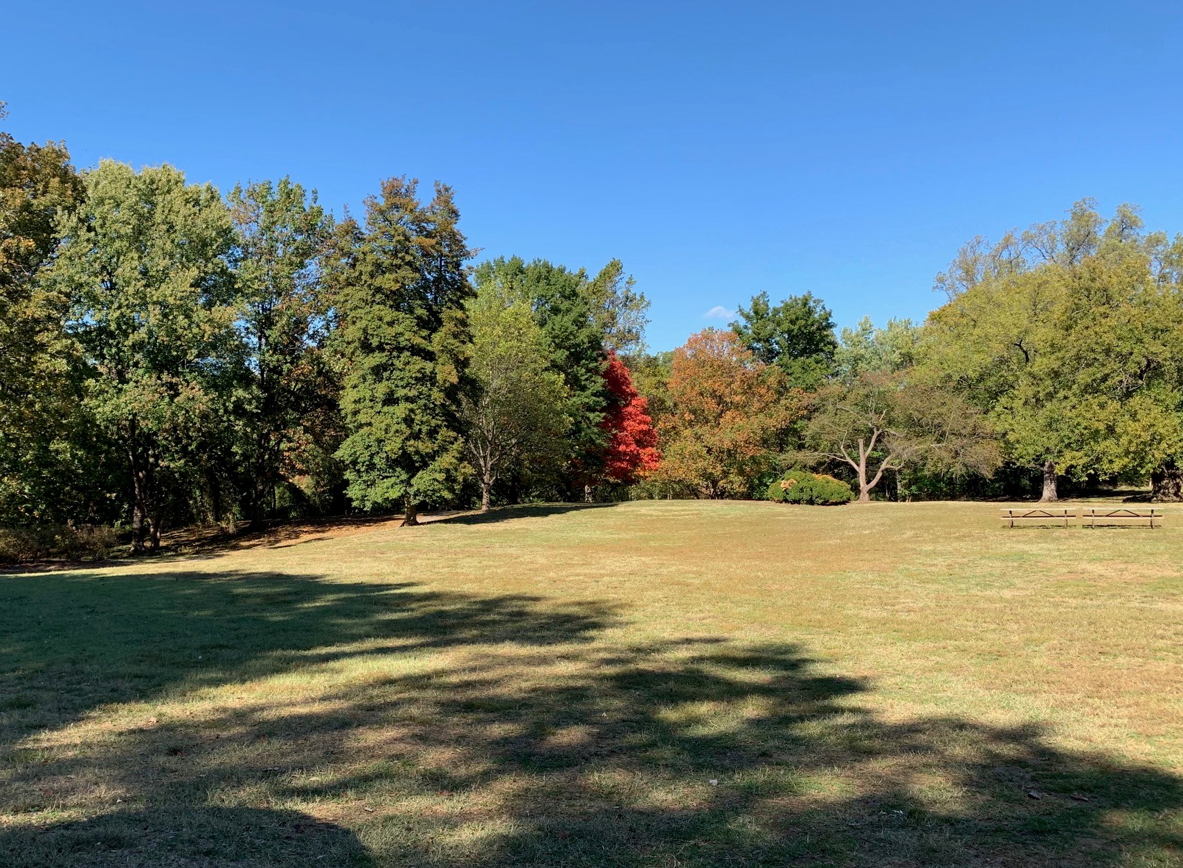 Condos For Sale Near Montrose Park