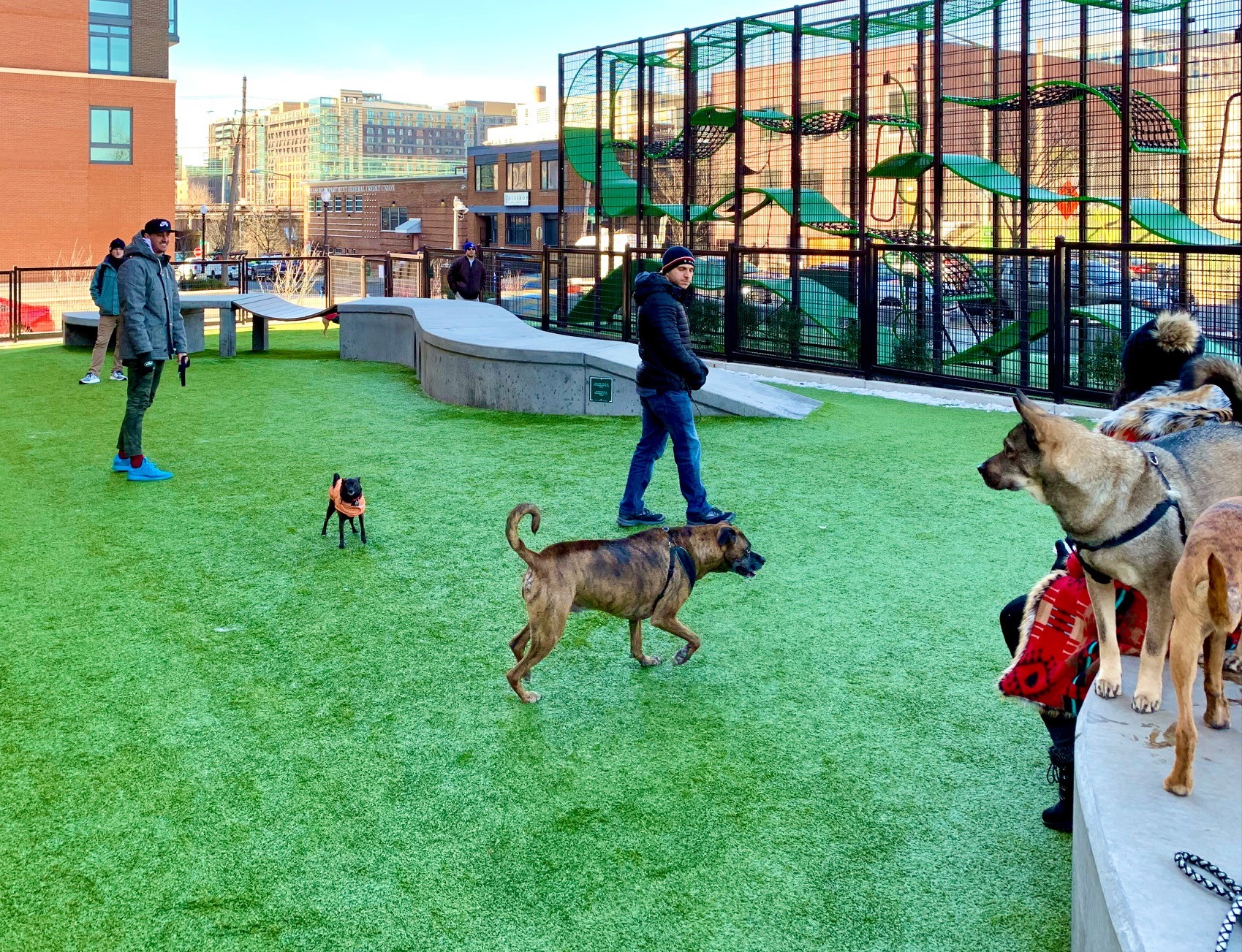dog park for sale