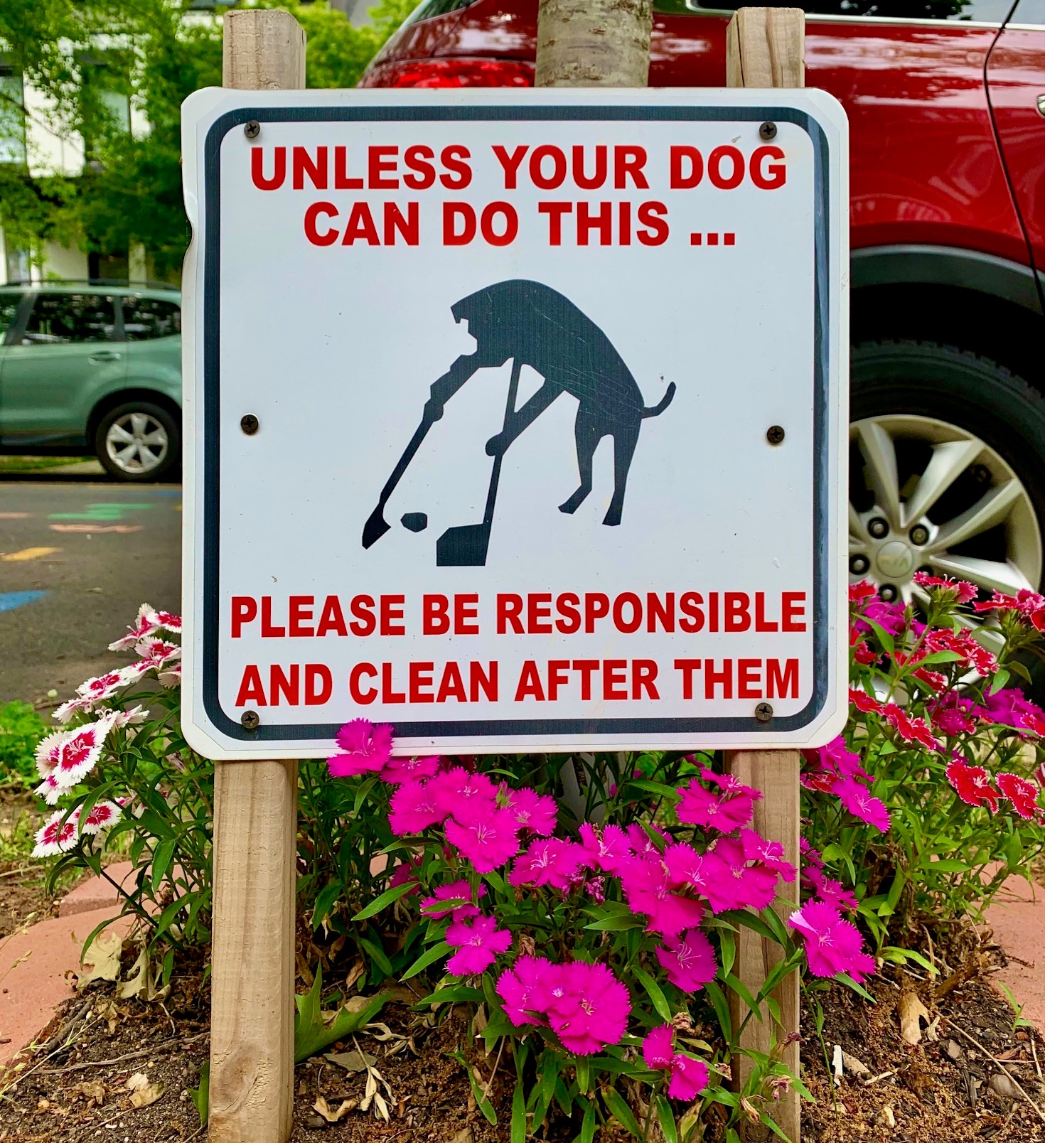 Condos For Sale Near Upshur Dog Park