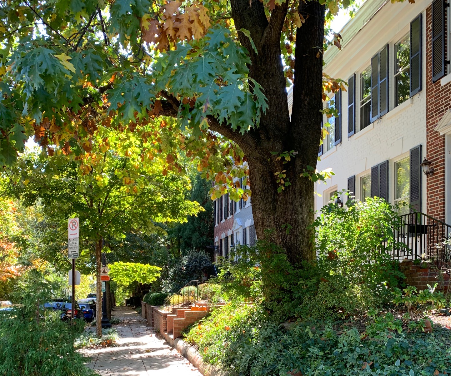 DC Colonial Homes For Sale