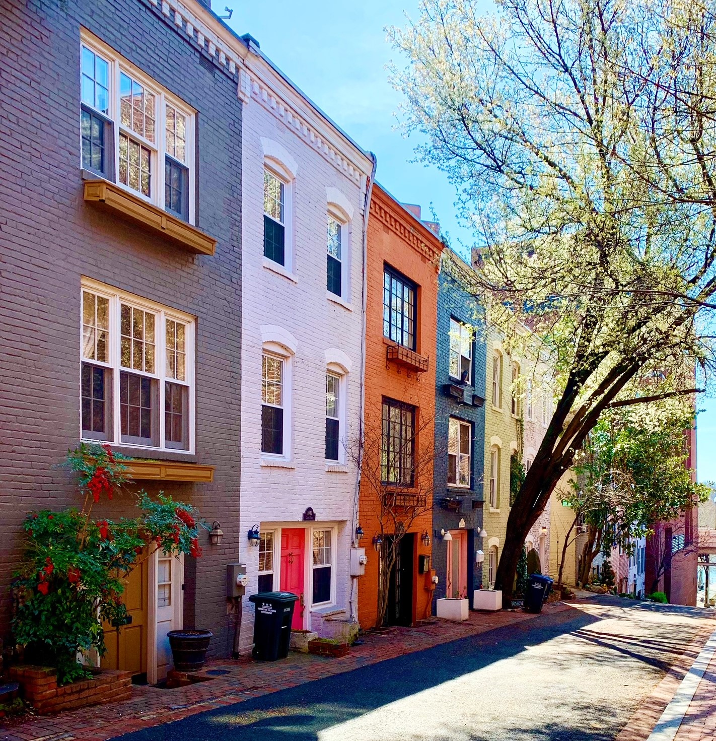 DC Monthly Real Estate Market Report