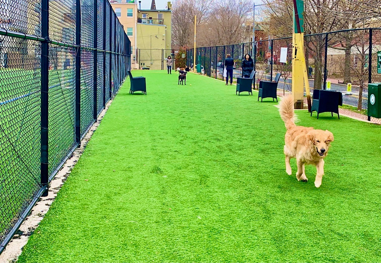 dog park for sale