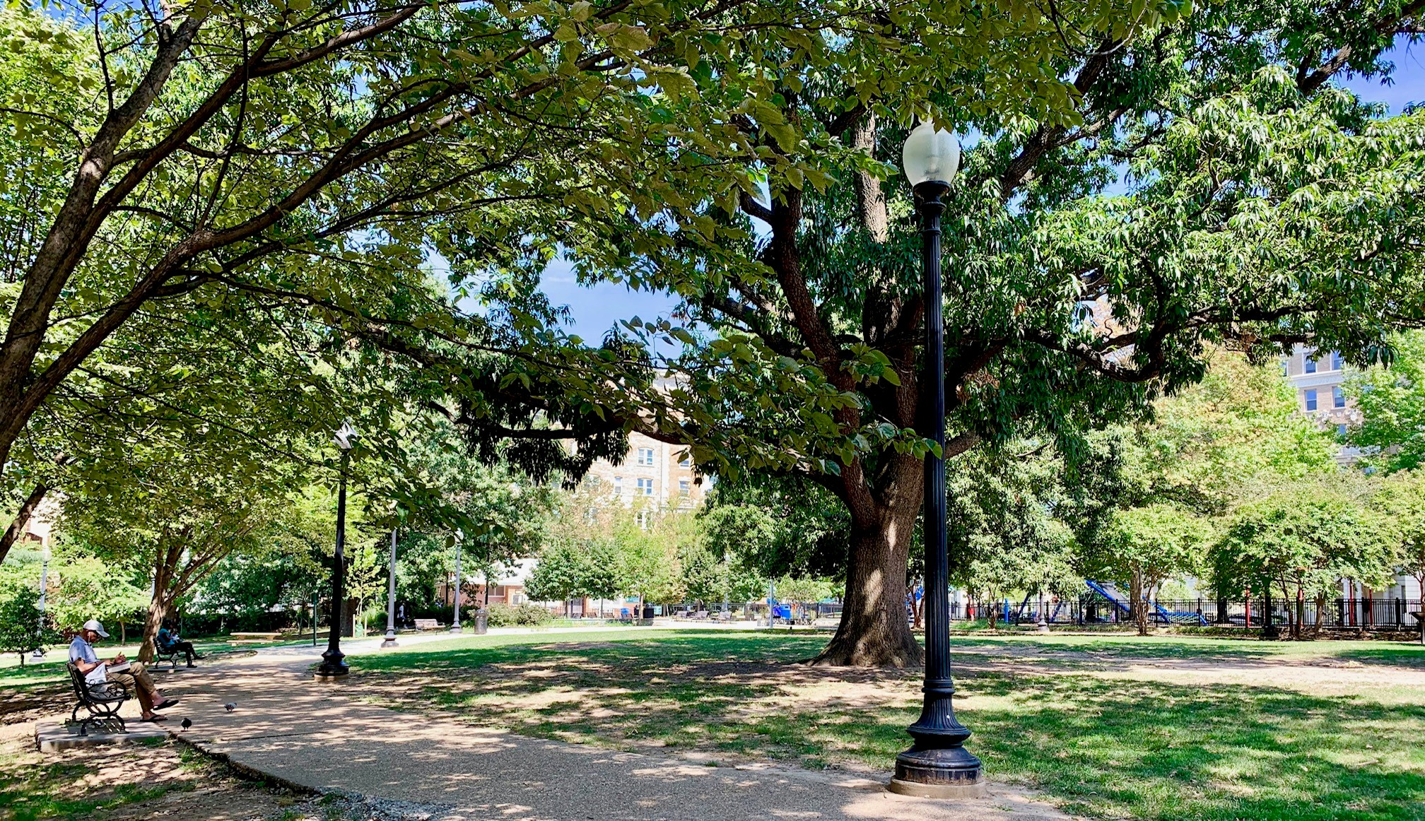 Kalorama Park in DC & Nearby Homes For Sale