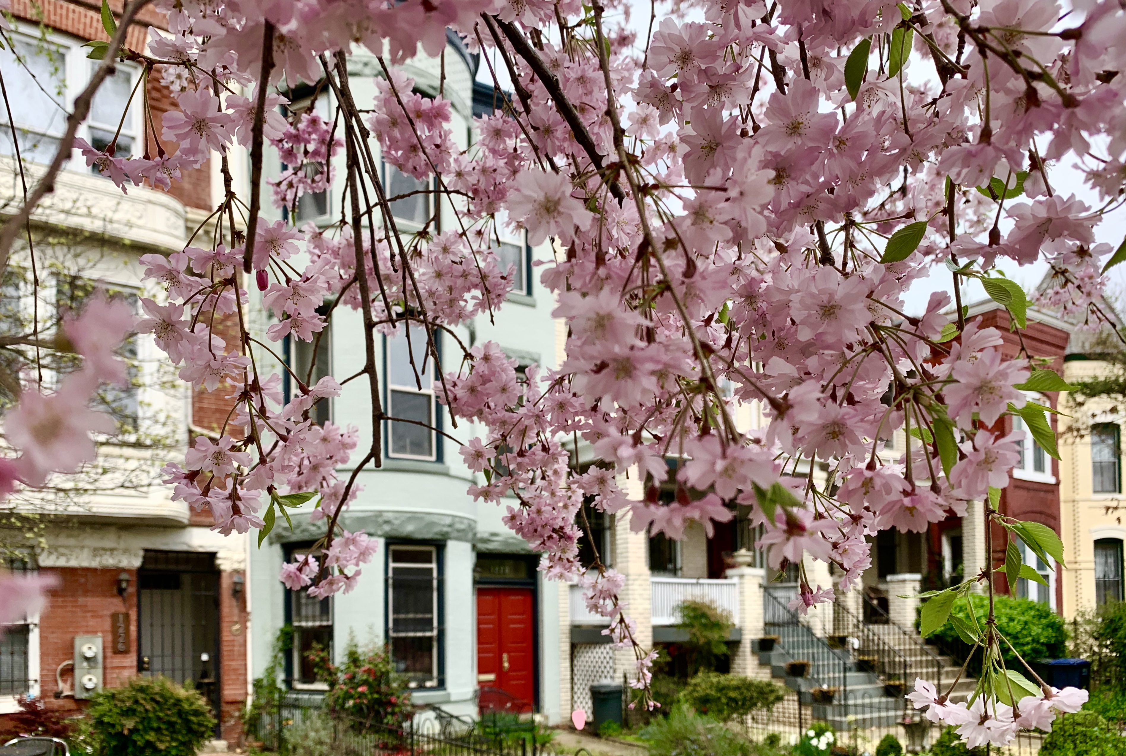 Luxury Homes Near Lincoln Park, DC. View Every Home On The Market