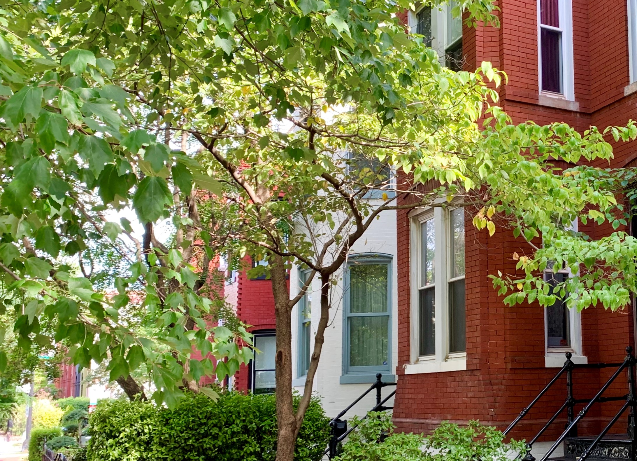 S Street NW in Logan Circle, DC Real Estate & Homes For Sale