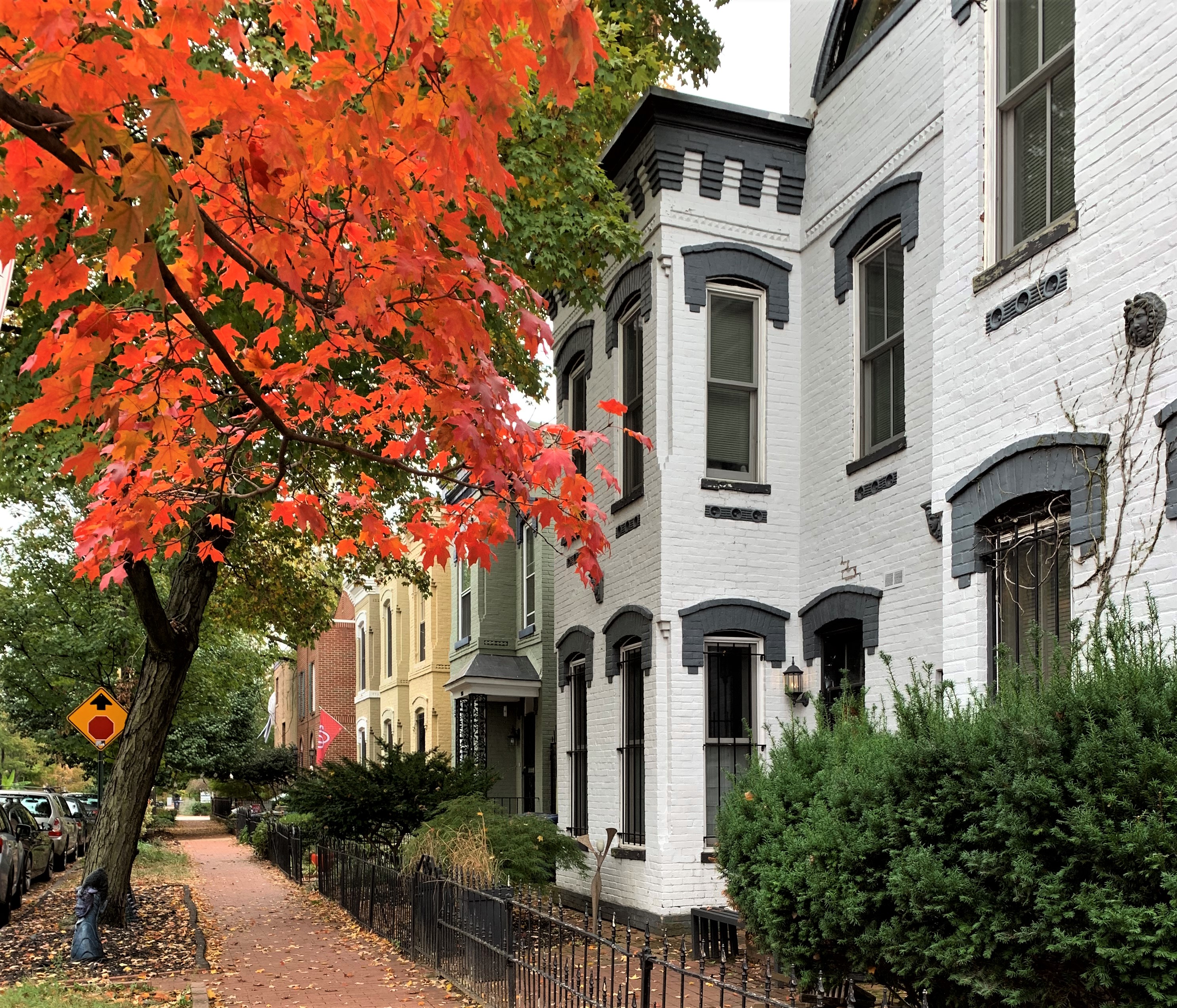Southeast, DC Luxury Real Estate & Homes For Sale