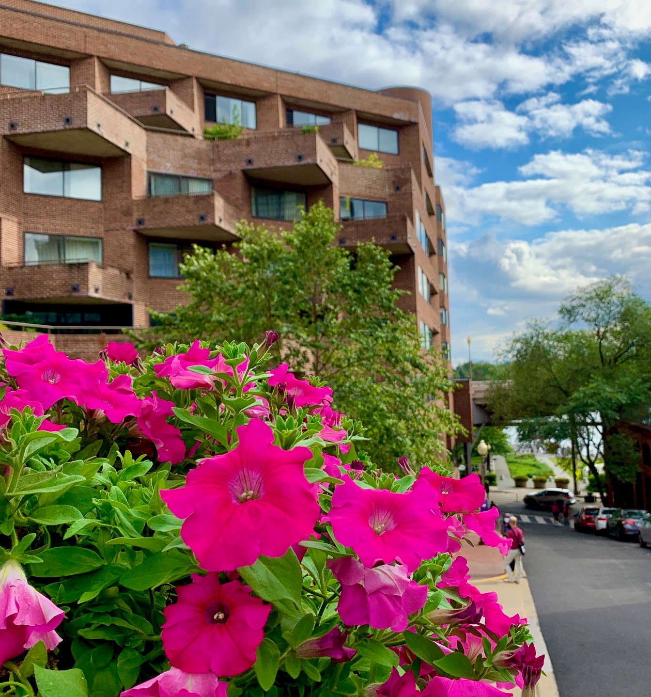 Washington, DC 4 Bedroom 3 Bathroom Condos For Sale