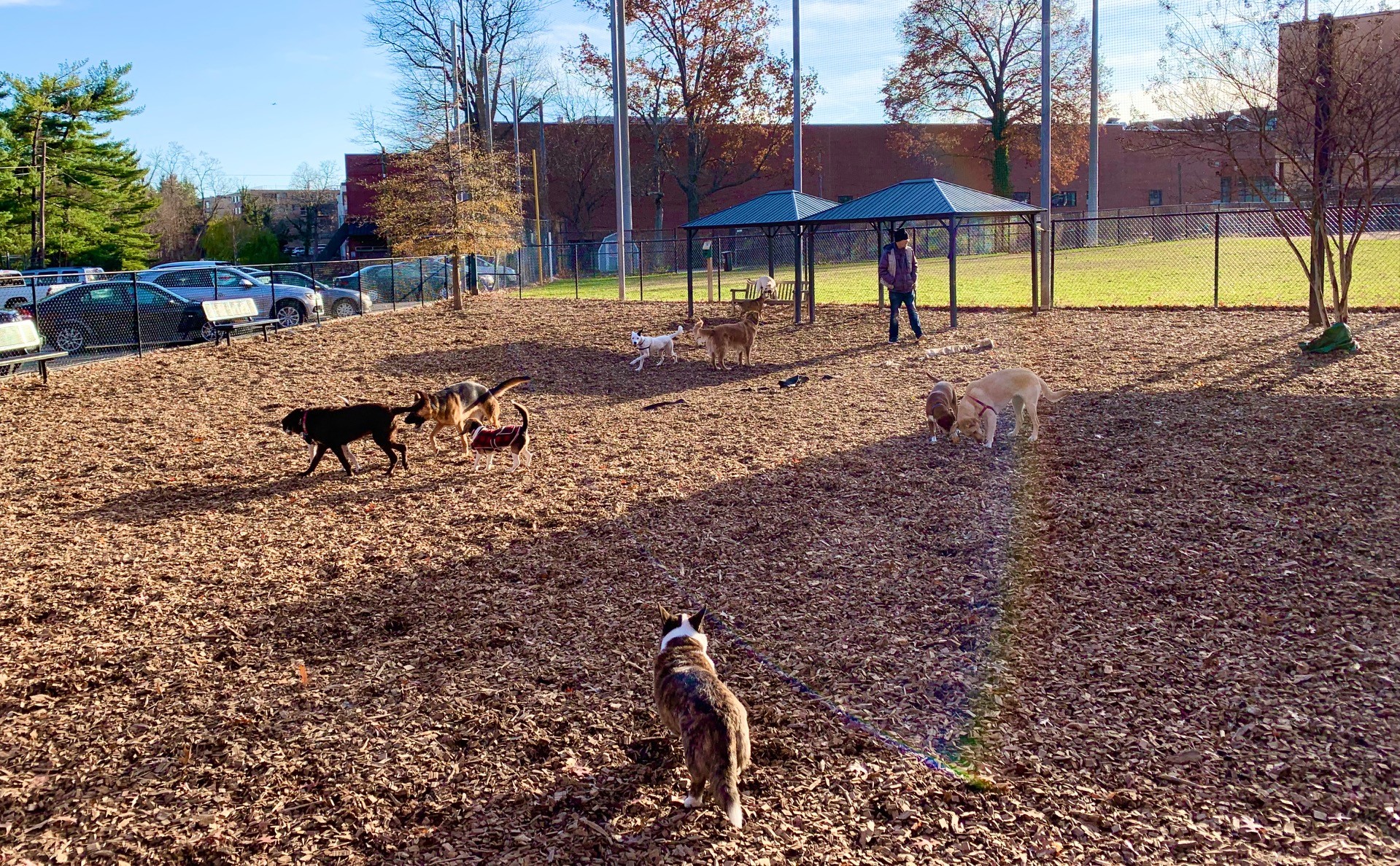 dog park for sale