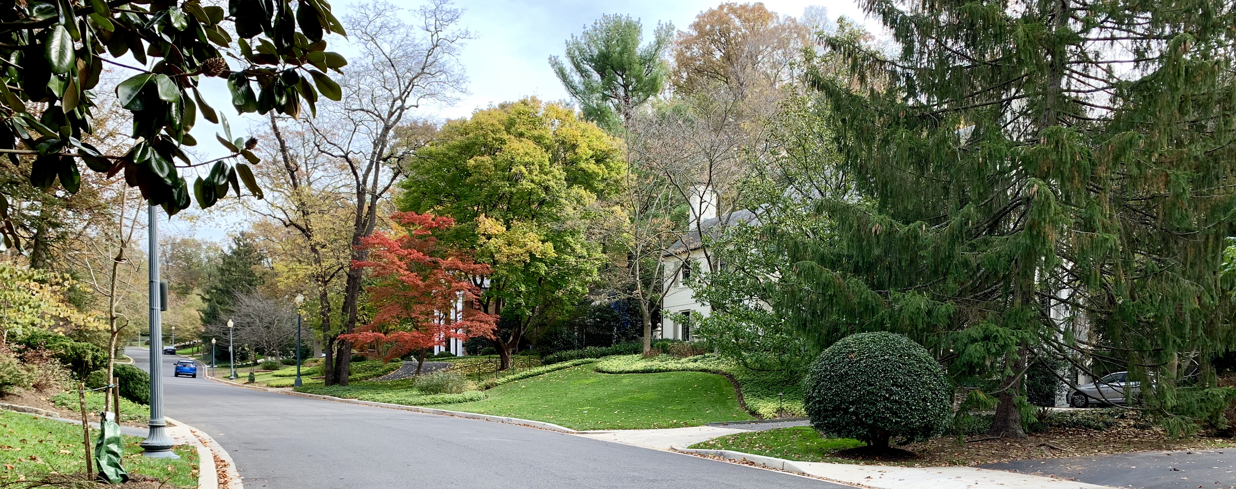 Luxury Homes In Spring Valley DC. View Every Home On The Market