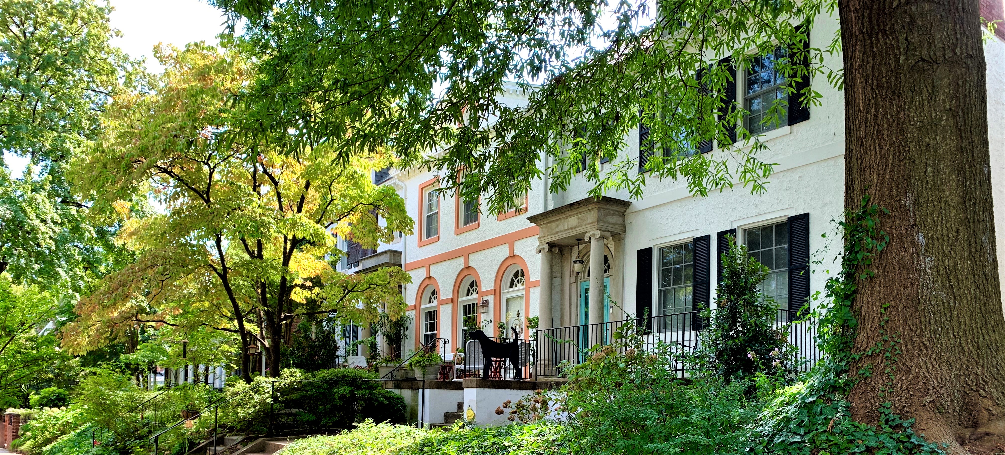 Luxury Homes In Woodley Park, DC. View Every Home On The Market