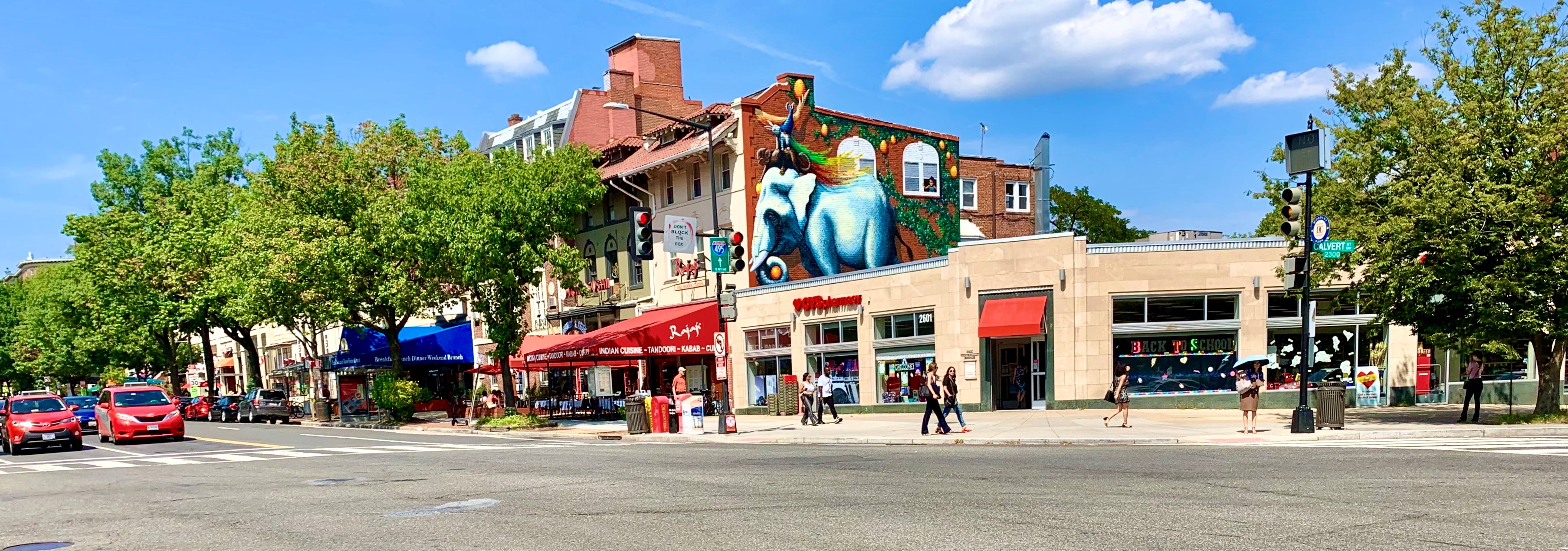 Luxury Homes In Woodley Park, DC. View Every Home On The Market