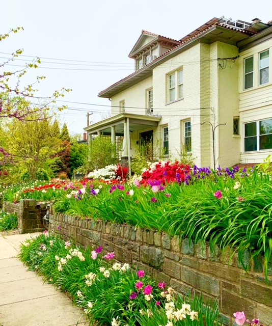 Chevy Chase, Washington, DC Federal Homes For Sale