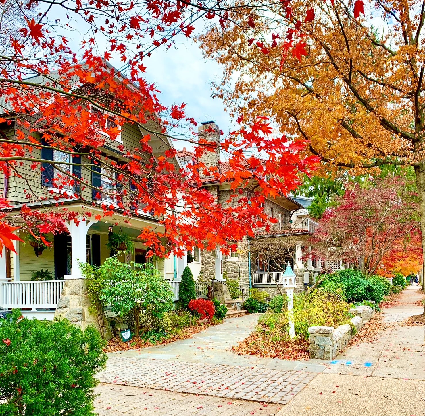 Cleveland Park, DC 5 Bedroom Homes For Sale