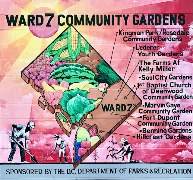 Luxury Homes In Deanwood DC. View Every Home On The Market