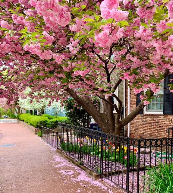 Foggy Bottom, DC 1 Bedroom Apartments For Sale