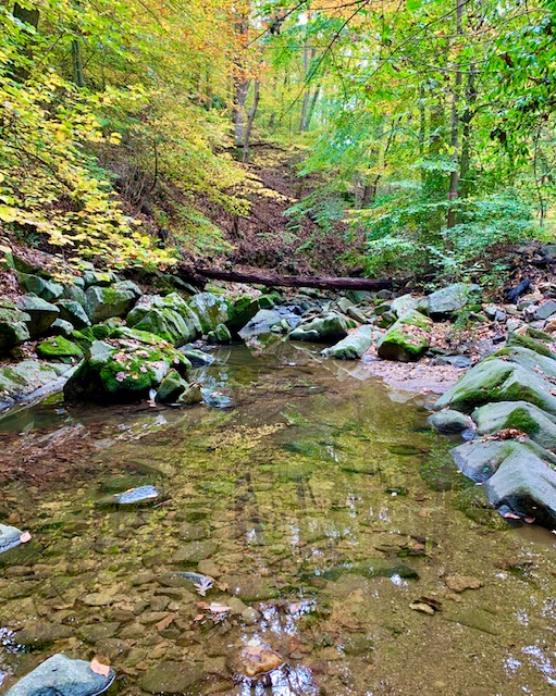 Forest Hills, Washington, DC New Construction Condos For Sale