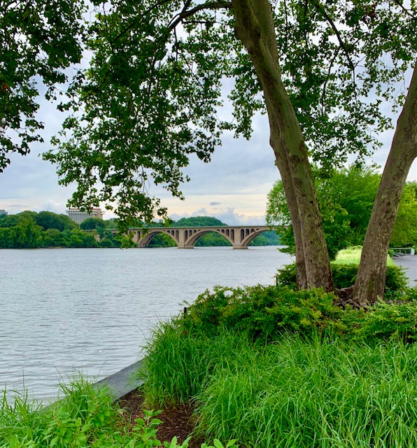 Washington, DC 1 Bedroom Condominiums