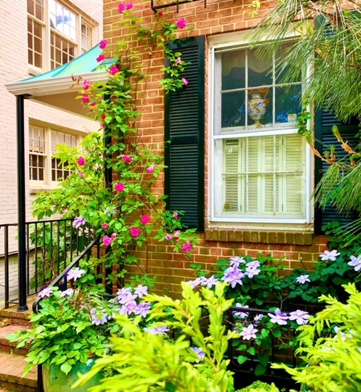 Washington, DC New Construction Homes For Sale