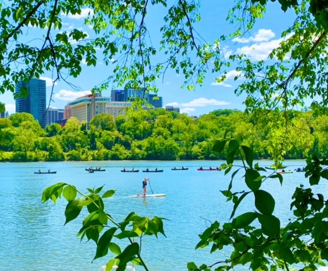 Studios For Sale in DC