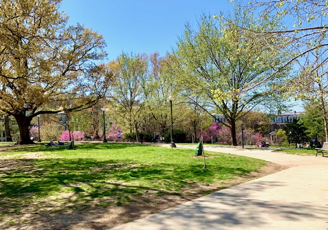 Kalorama Triangle, DC 5 Bedroom Homes For Sale