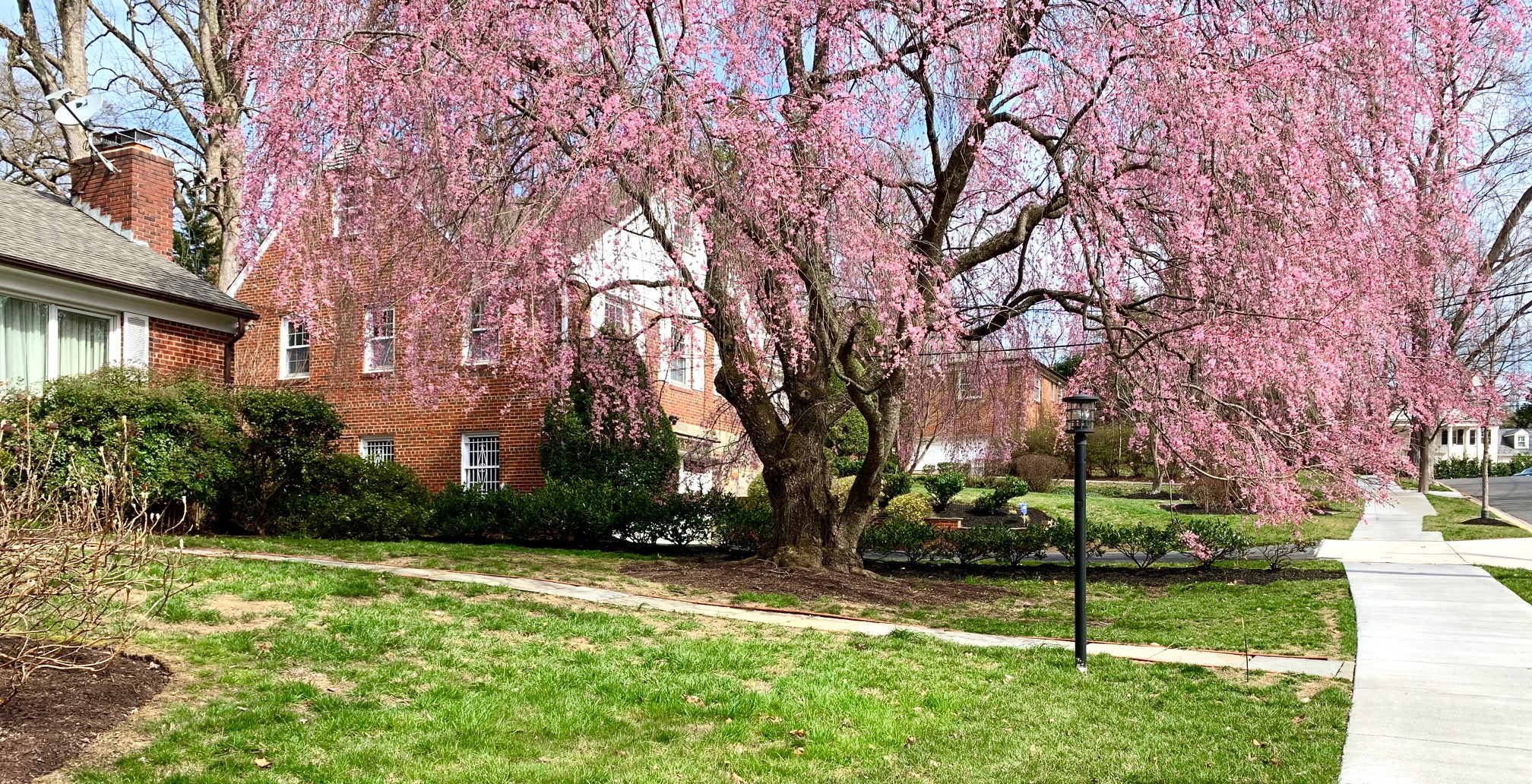 Kent, DC Colonial Homes For Sale