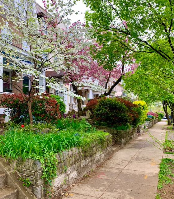 Mount Pleasant, DC 3 Bedroom Condos For Sale