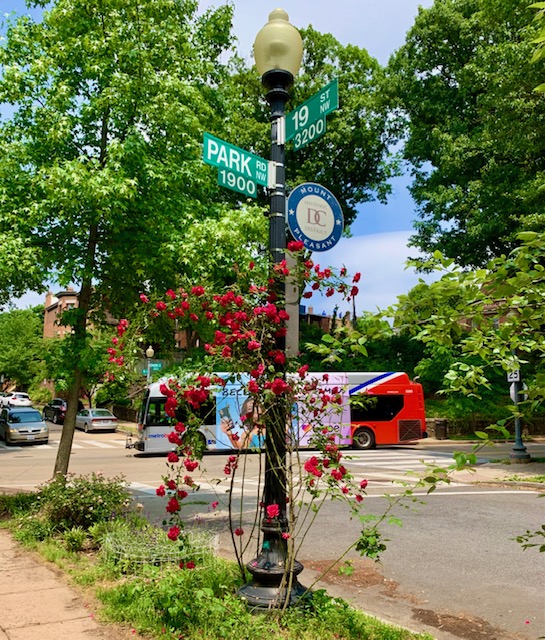 Mount Pleasant, DC Condos For Sale