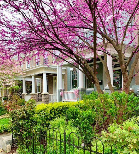 Mount Pleasant, Washington, DC Contemporary Homes For Sale