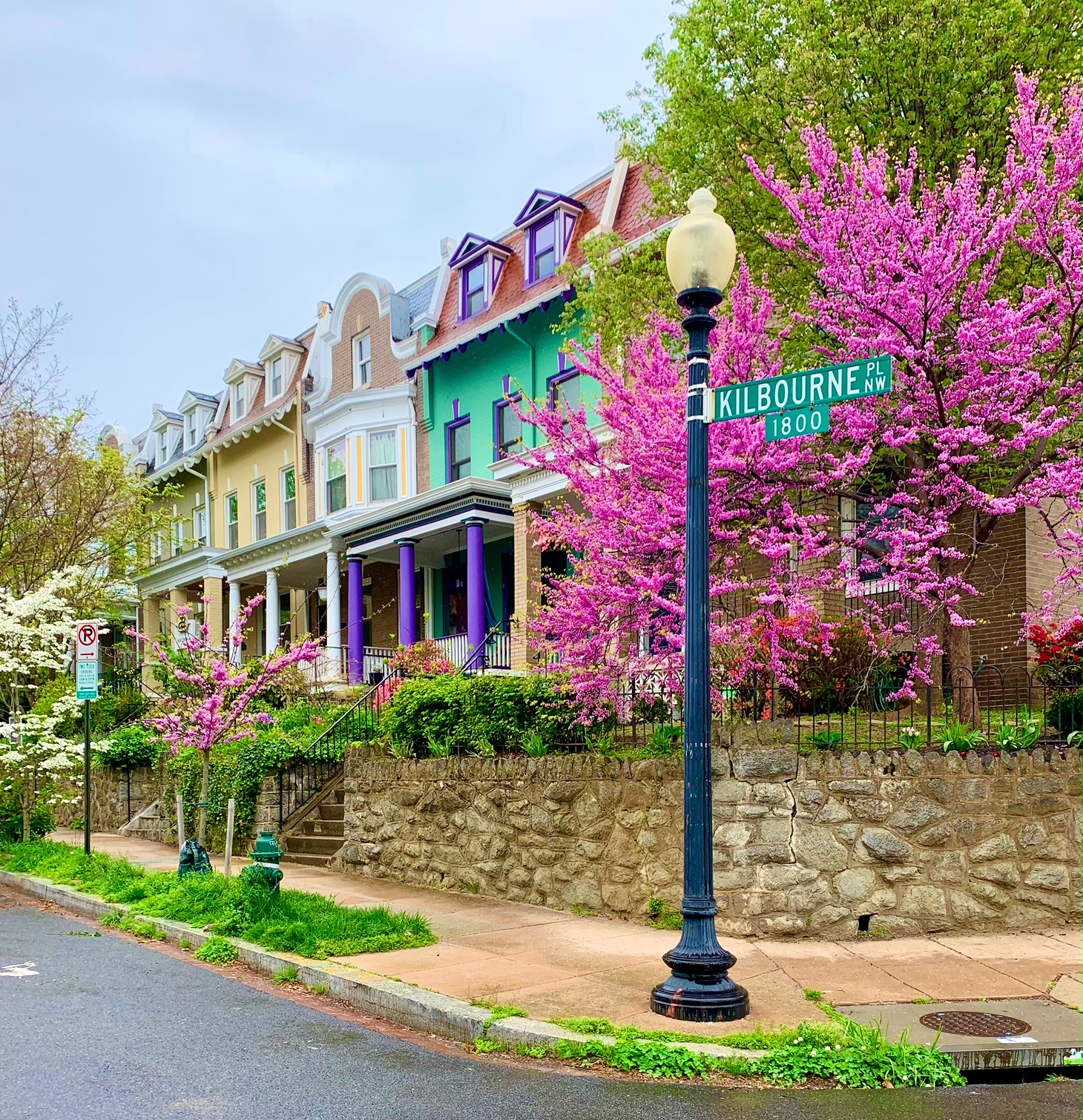 Luxury Homes In Mount Pleasant, DC. View Every Home On The Market