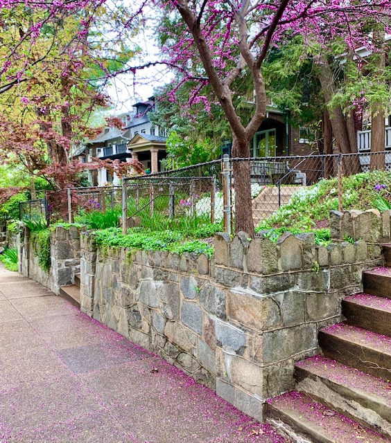 Top 5 Most Affordable Mount Pleasant, DC Homes For Sale