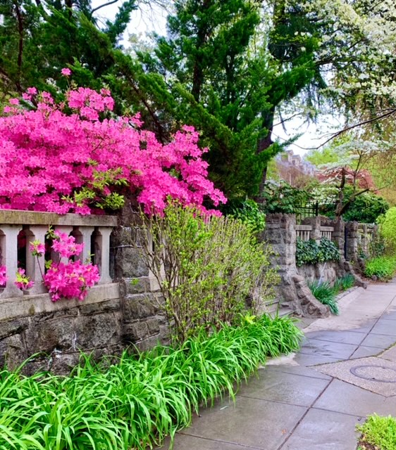 Mount Pleasant, Washington, DC New Construction Homes For Sale