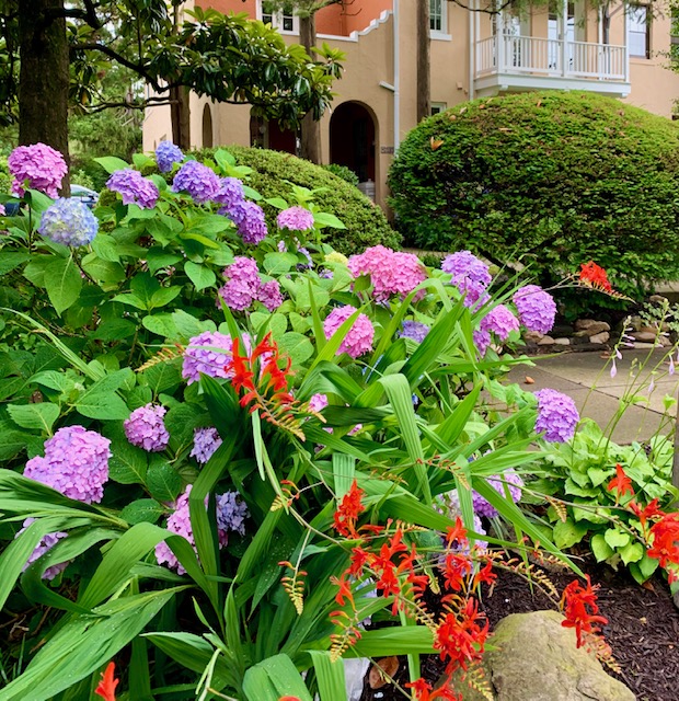 North Cleveland Park, DC 6 Bedroom Homes For Sale