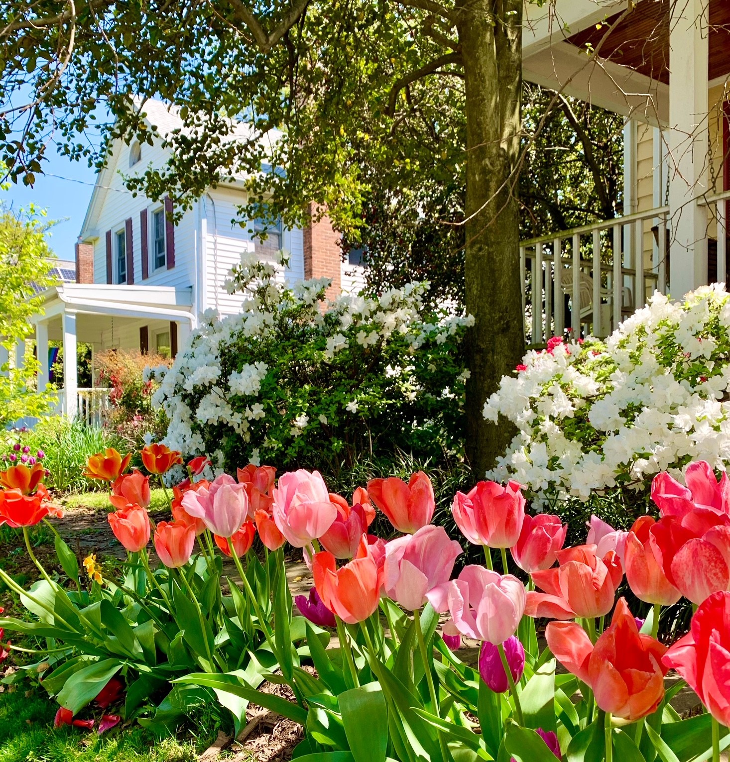 North Cleveland Park, DC Craftsman Homes For Sale