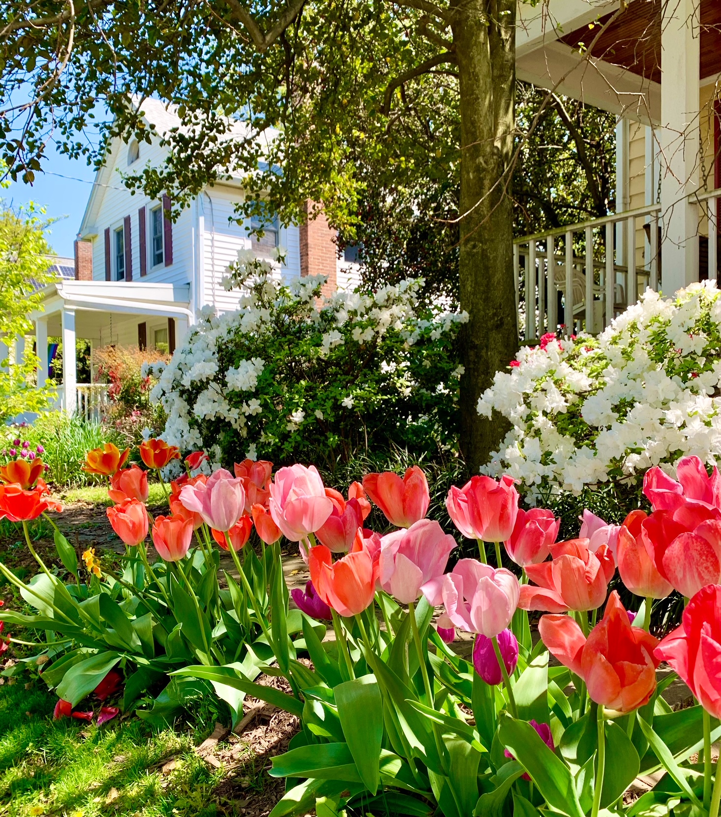 North Cleveland Park, Washington, DC New Construction Homes For Sale