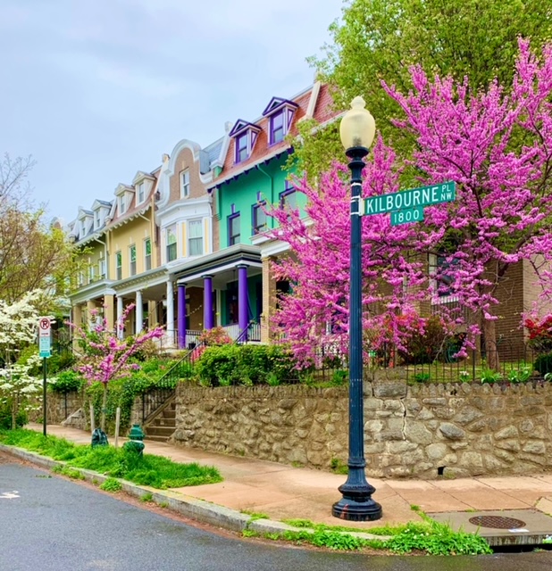 Row Homes For Sale in Northwest, DC