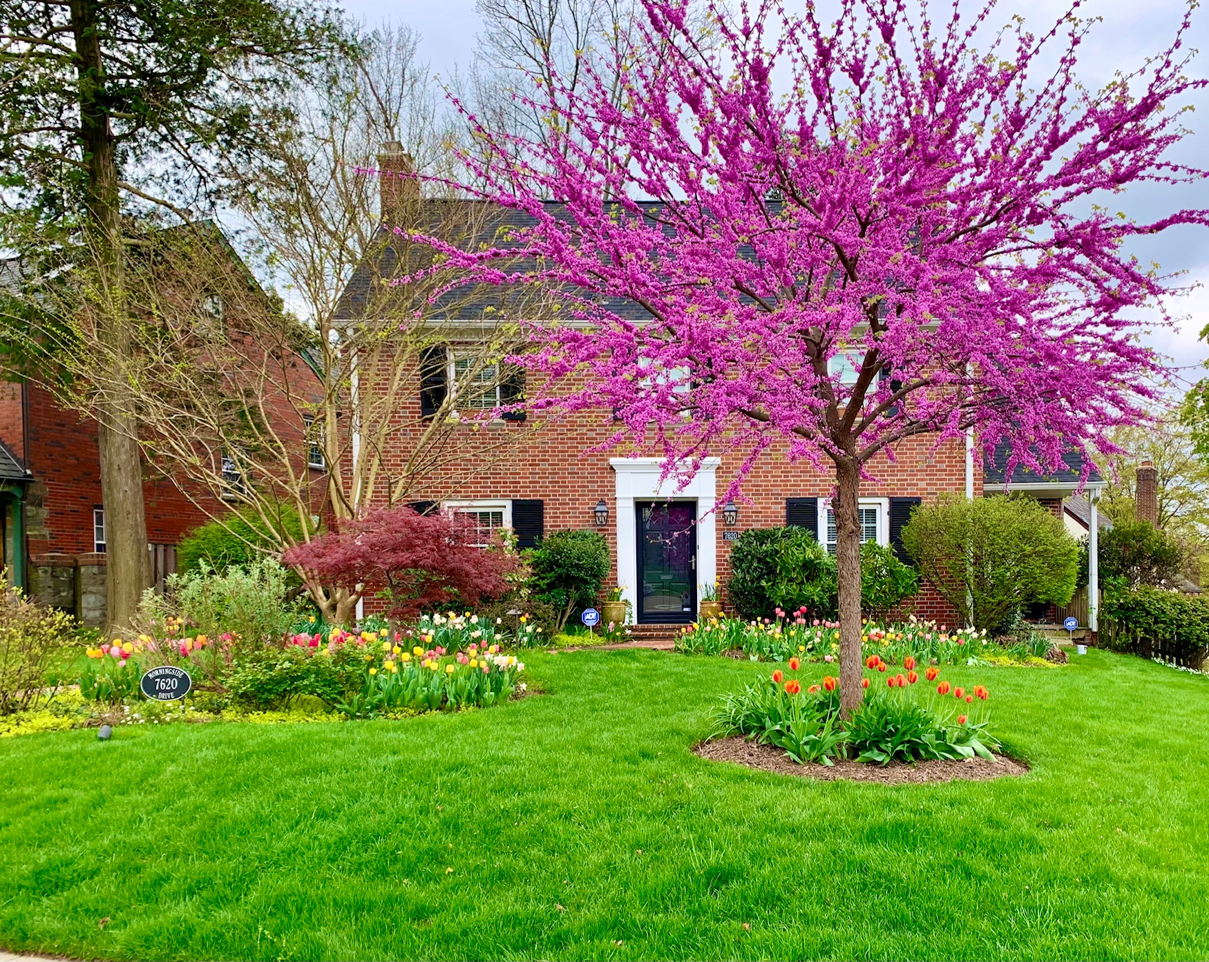 Top 5 Most Affordable Shepherd Park, DC Homes For Sale