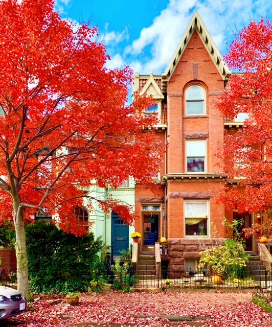Row Houses For Sale in Southeast, DC