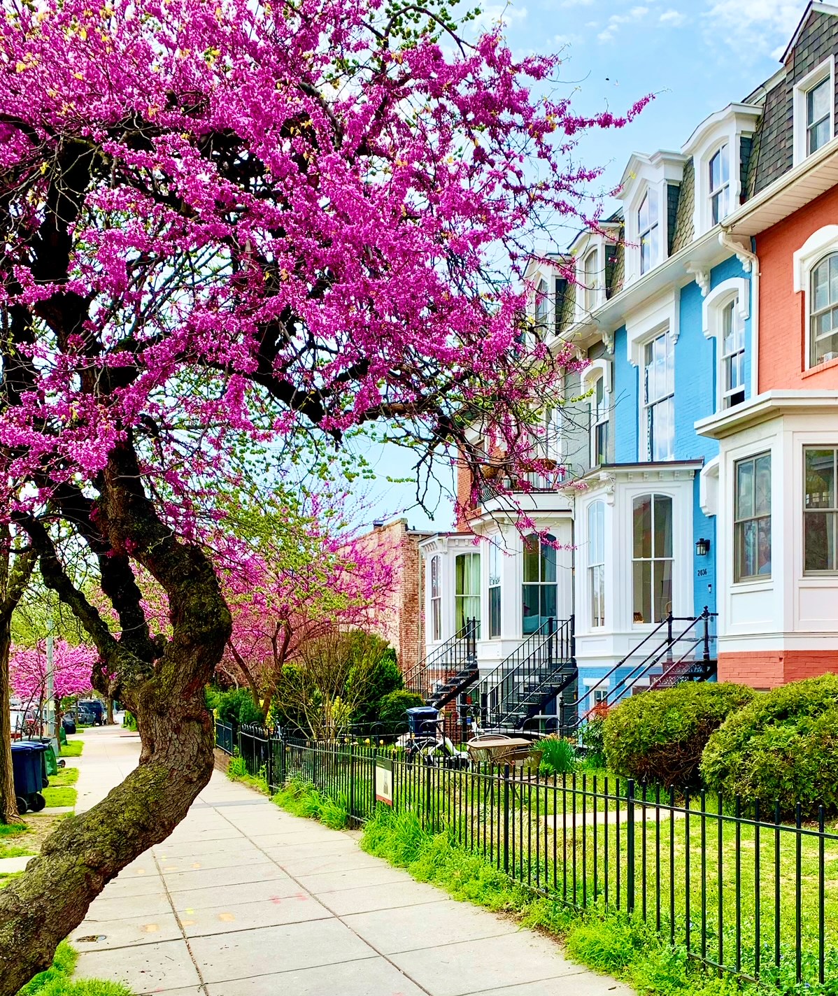 U Street Corridor, Washington, DC Federal Homes For Sale