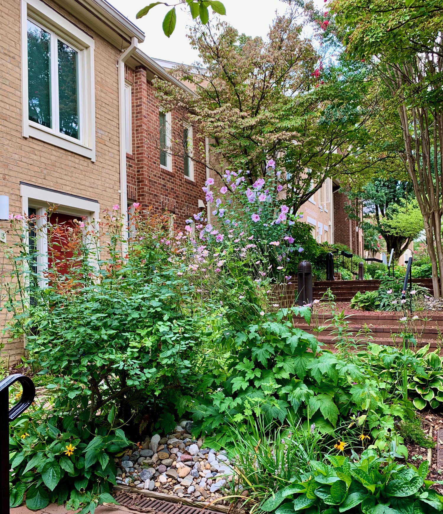 Wesley Heights, Washington, DC Row Houses For Sale