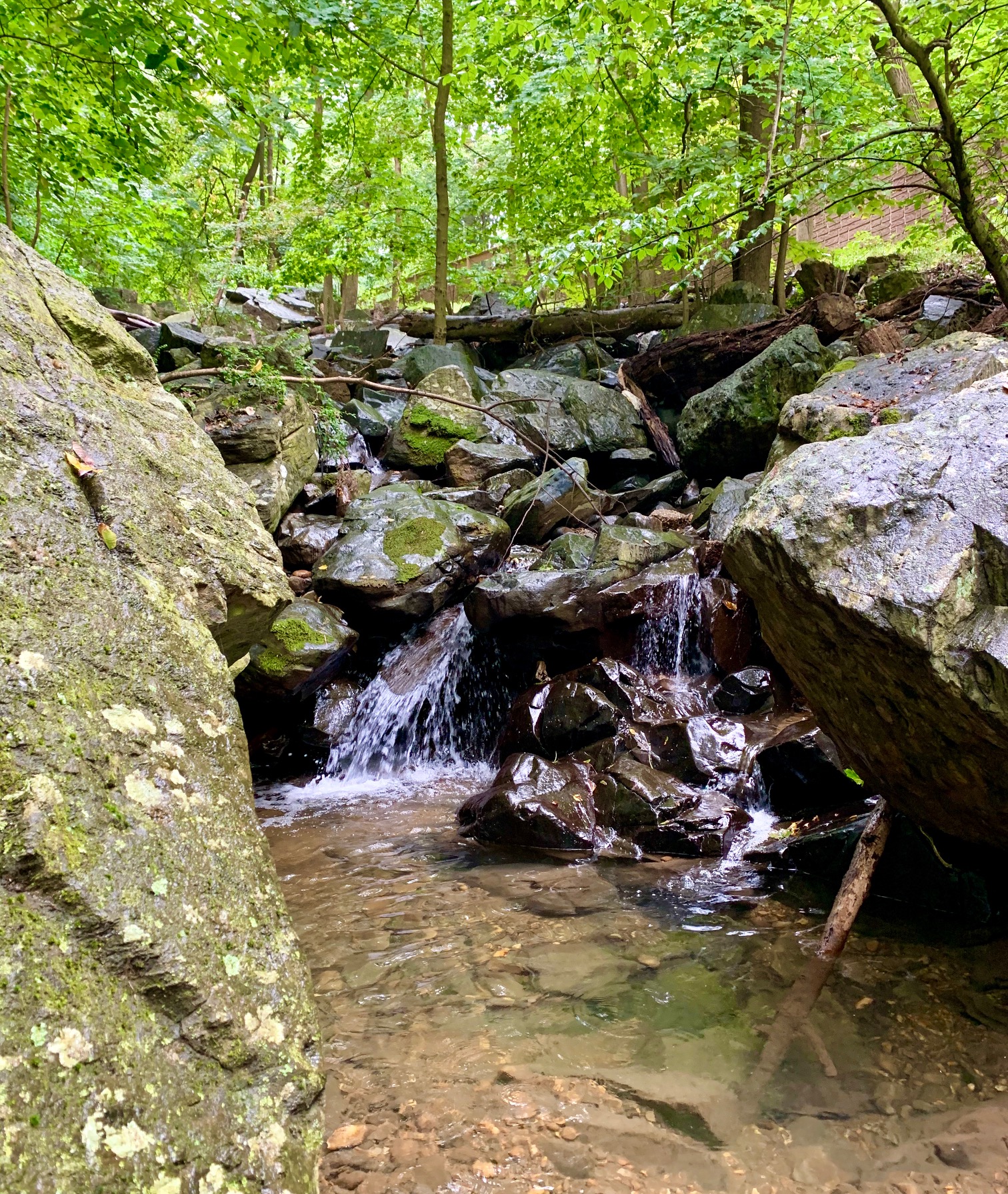 Top 5 Most Affordable Woodley Park, DC Homes For Sale